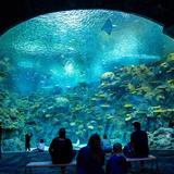 Seattle Aquarium