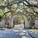 Wormsloe State Historic Site