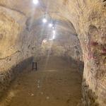 Robber’s Cave Tours