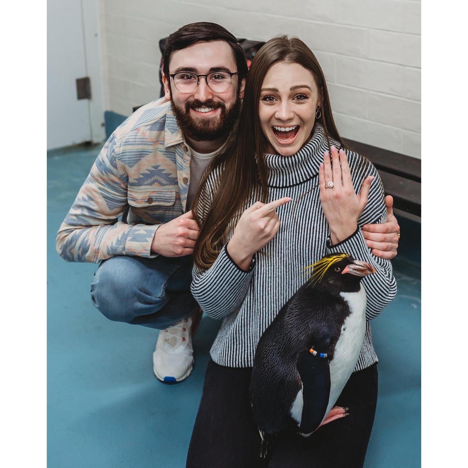 The Engagement! - 2019