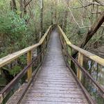 UWF Nature Trails