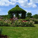 Elizabeth Park Gardens