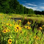 Wooster Memorial Park