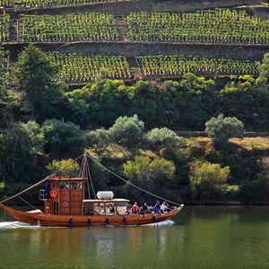 Boat ride along the Douro Valley River
