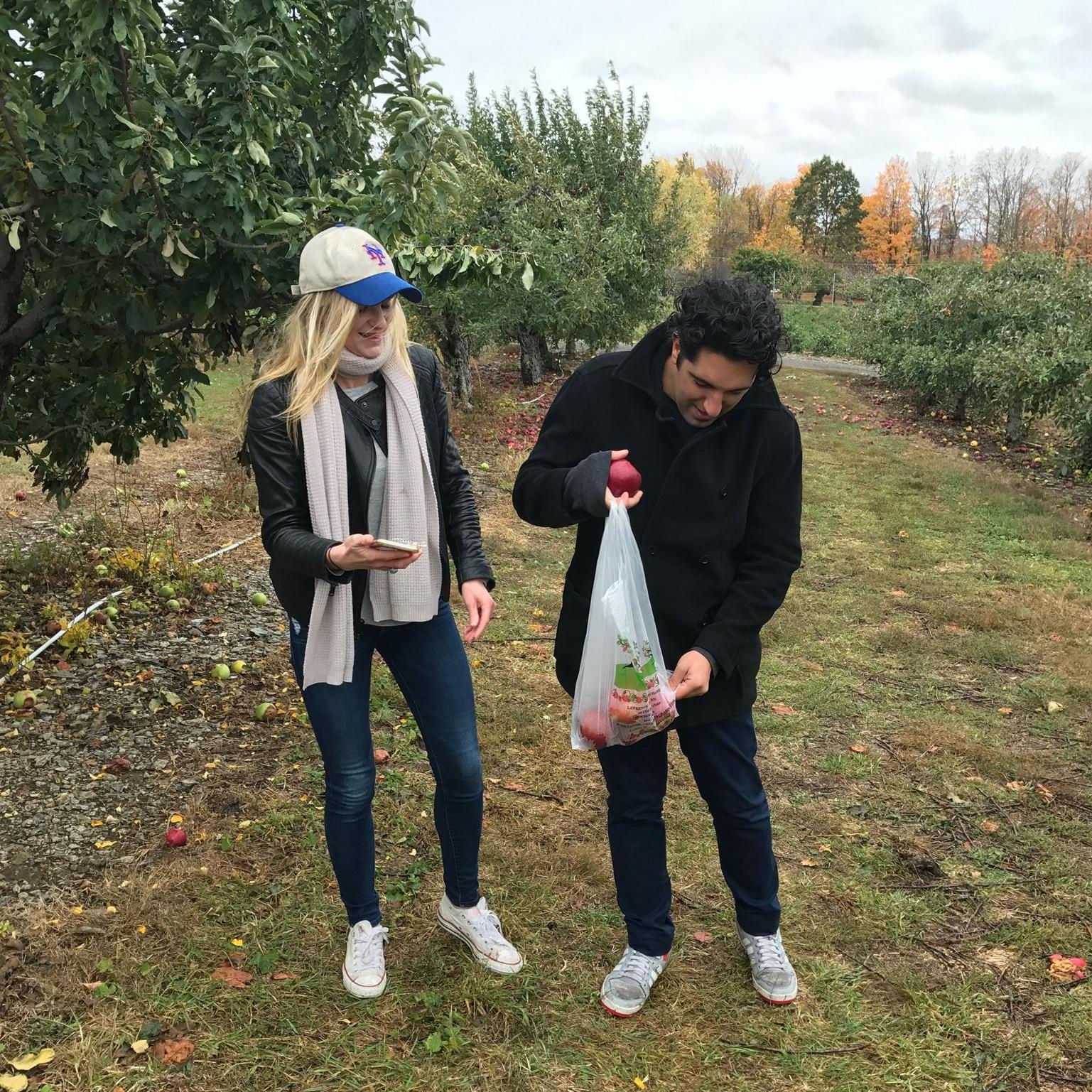 Apple Picking in upsate New York