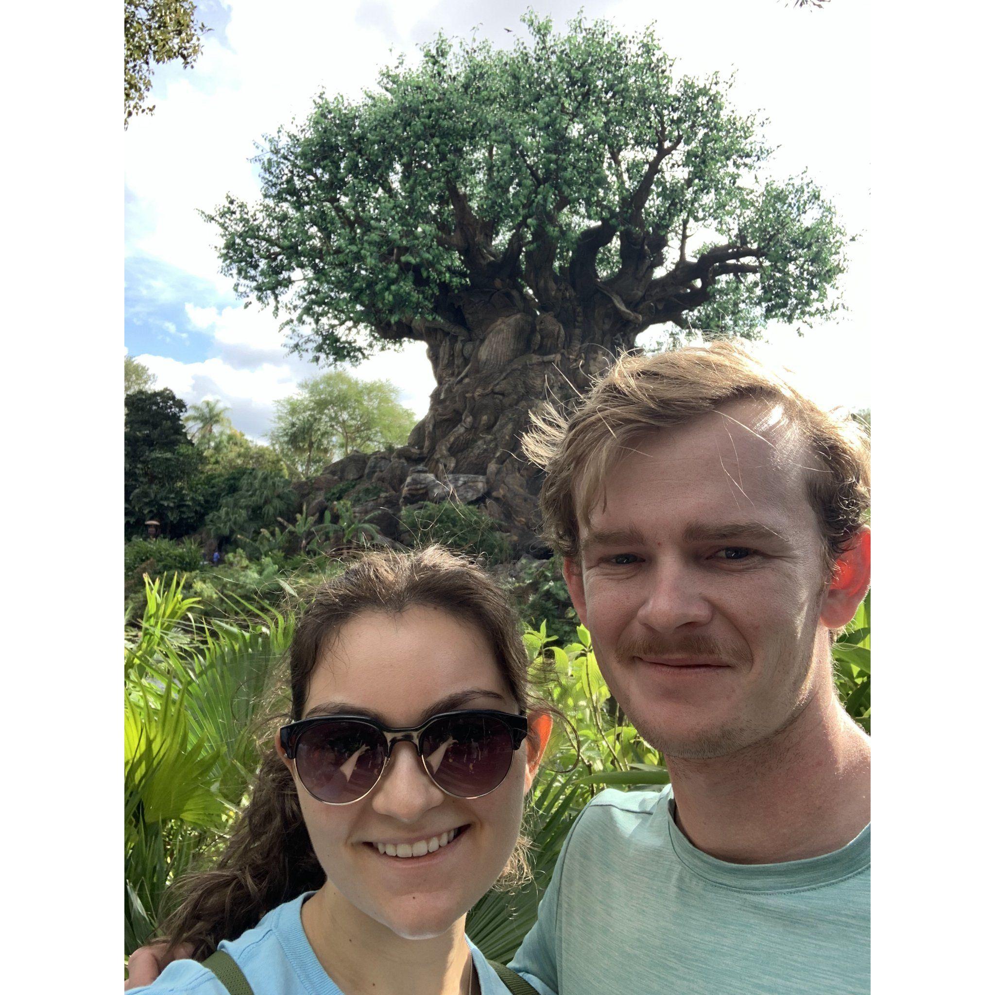 Trip to Animal Kingdom at Walt Disney World in January, 2023