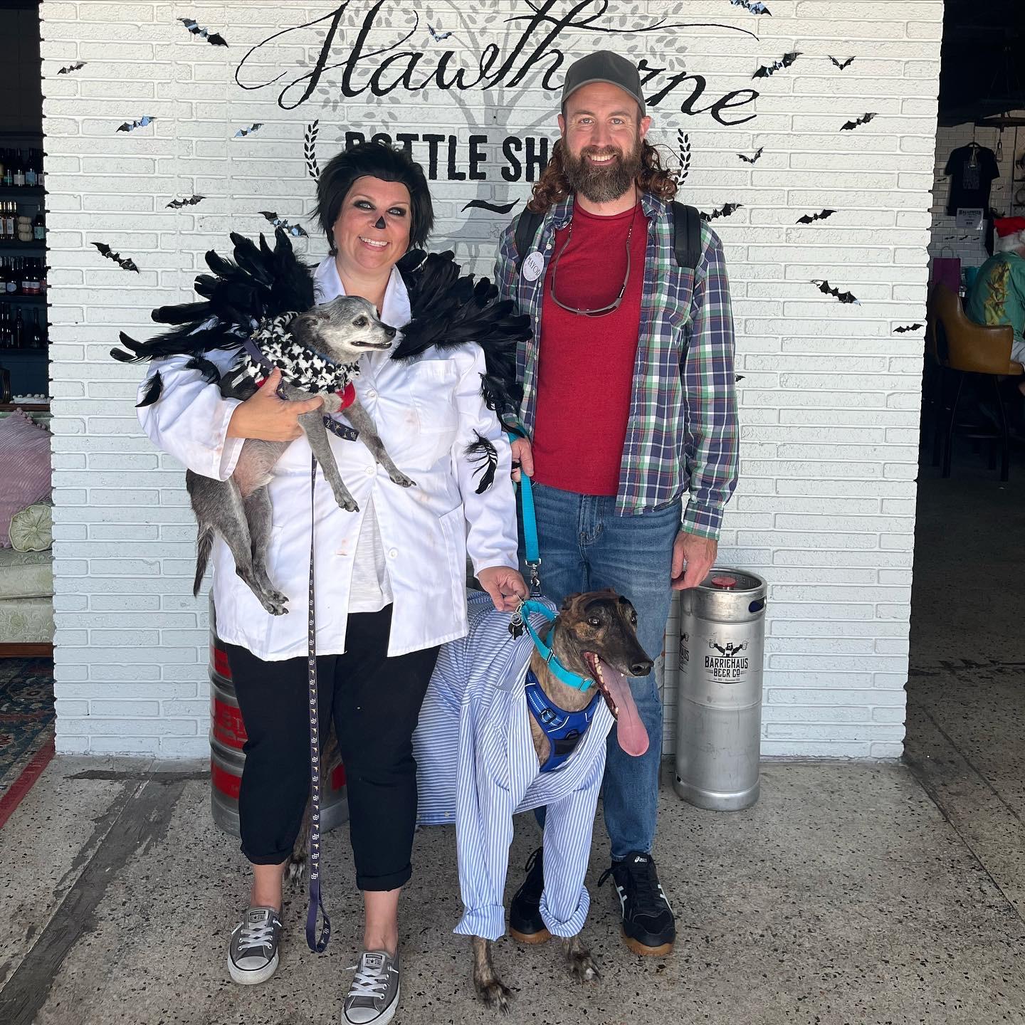 We went as the cast of Schitt's Creek for Halloween. Caesar was David and Adler was Johnny. If you look closely, you can see his glued-on eyebrows. The glue took weeks to come off and we felt baaaad.