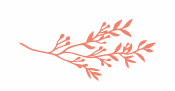 The Wedding Website of Luke Aaron Freeman and Addison Joan Muller