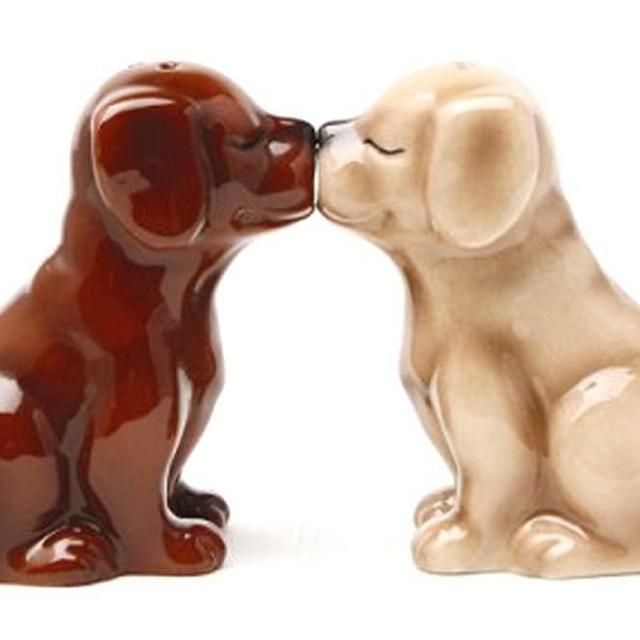 Pacific Giftware Labrador Puppies Magnetic Salt and Pepper Shakers Set, Blond/Chocolate