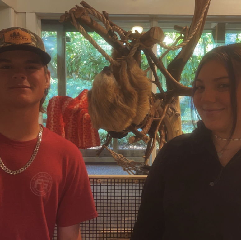 Hanging with the sloths at Busch Gardens.