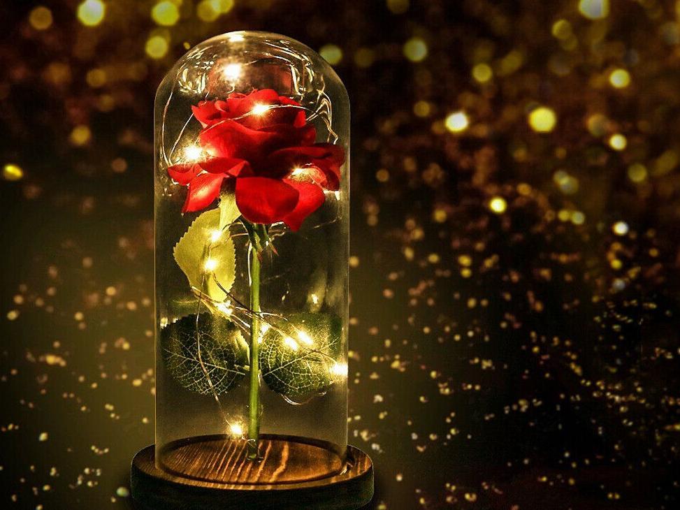 49717203-f6ea-48f5-bba5-194bfd1c749e