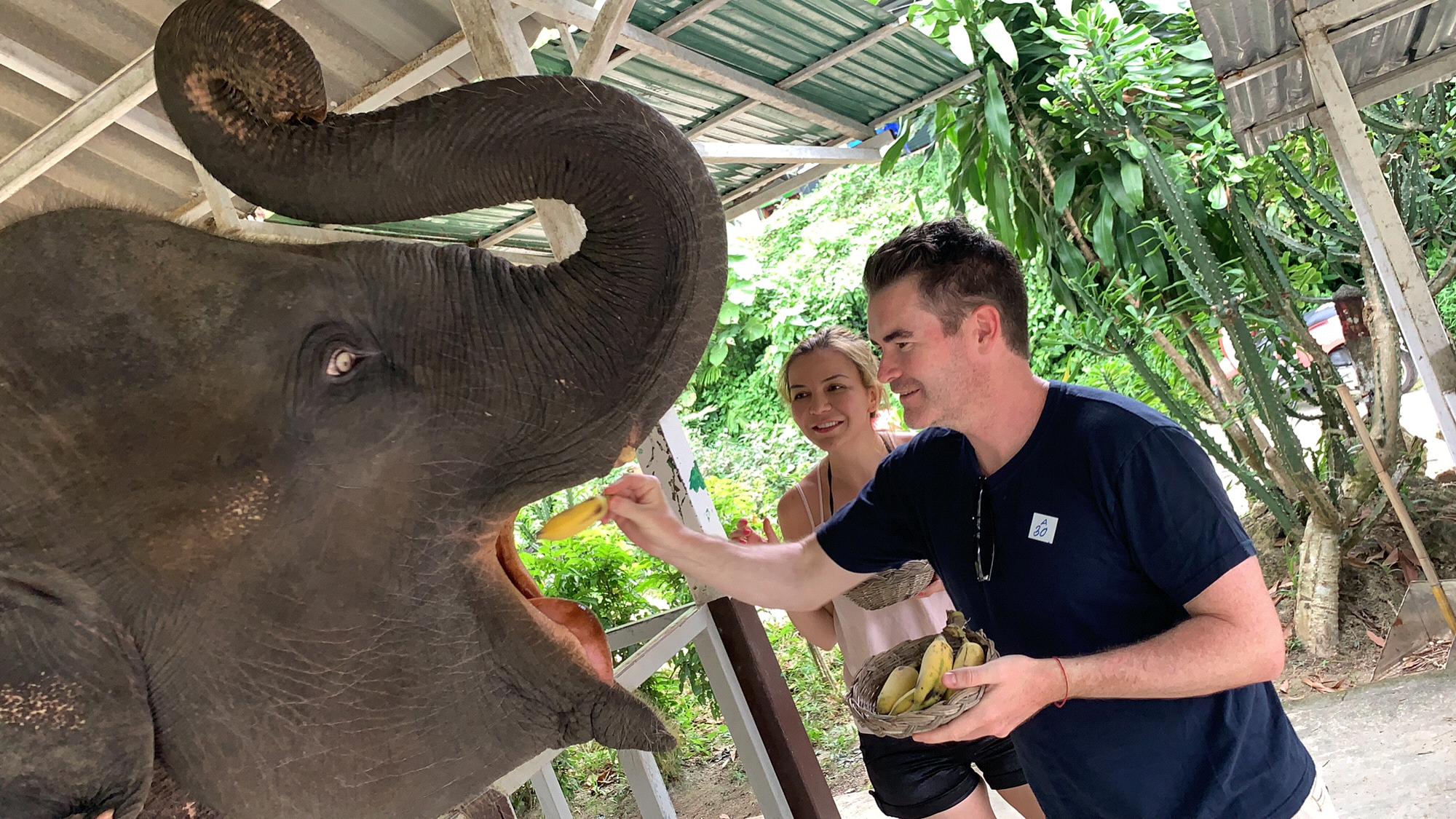 Feeding a baby elephant in Phuket, Thailand