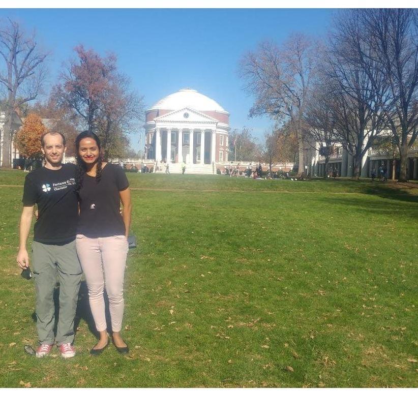 Rotunda proposal (in Charlottesville)