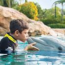 Discovery Cove