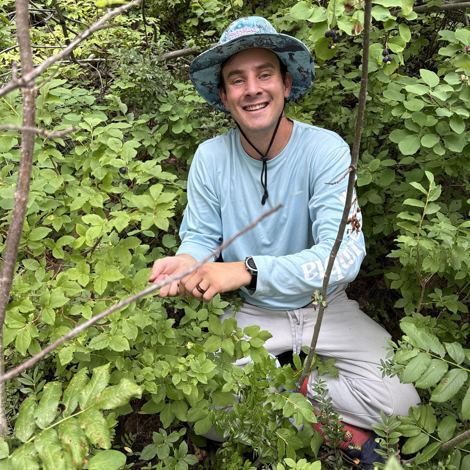 Huckleberry Picking.