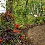 Riverside International Friendship Gardens