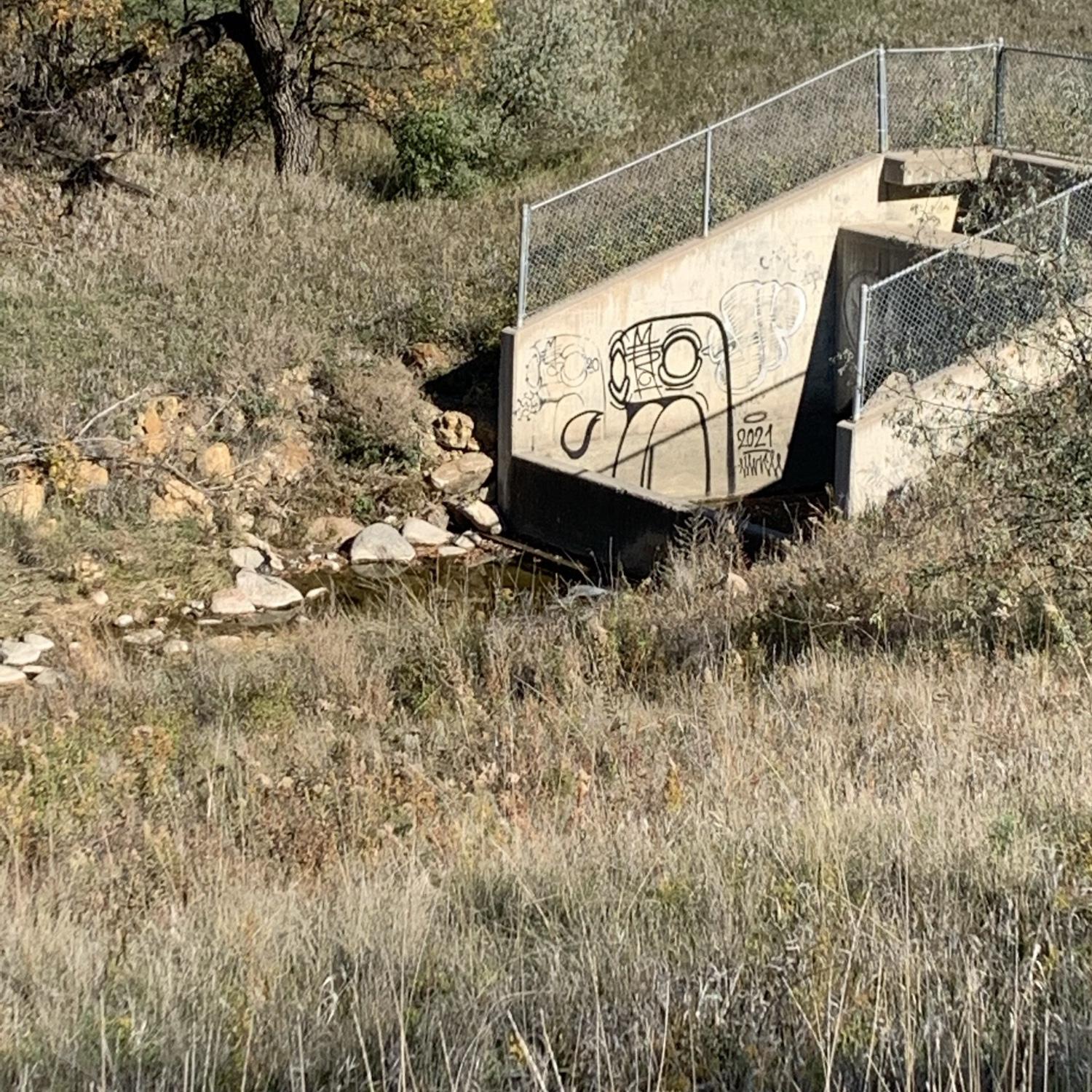 Graffiti art!

This photo was taken the day that Bryce proposed during a walk after a nice fall picnic :)