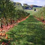 Friske's Farm Market
