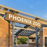 Phoenix Zoo
