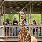 Sedgwick County Zoo