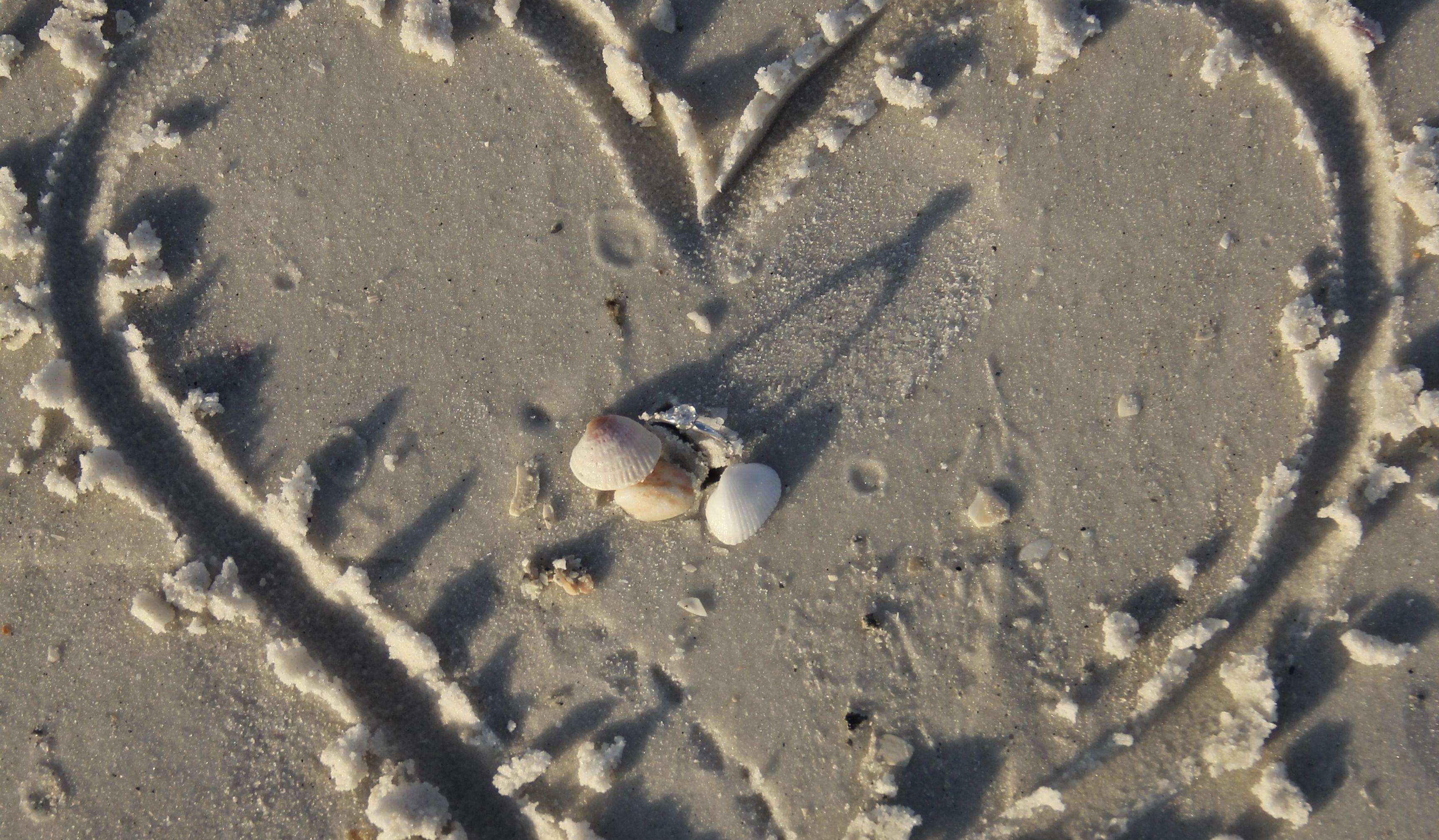 Hero Slideshow Image 2