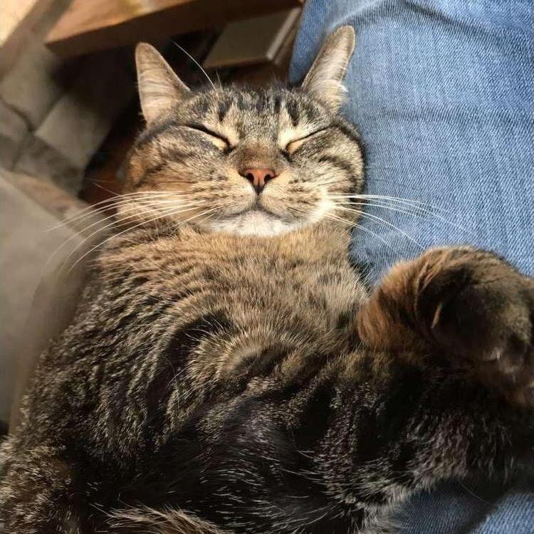 Of course we didn't leave out the queen of the castle!