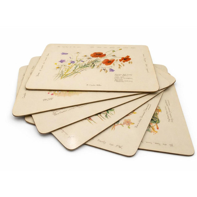 Country Diary Placemats Set 6 1977 Clover Leaf Bird Floral Vintage Boxed