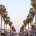 Abbot Kinney Boulevard