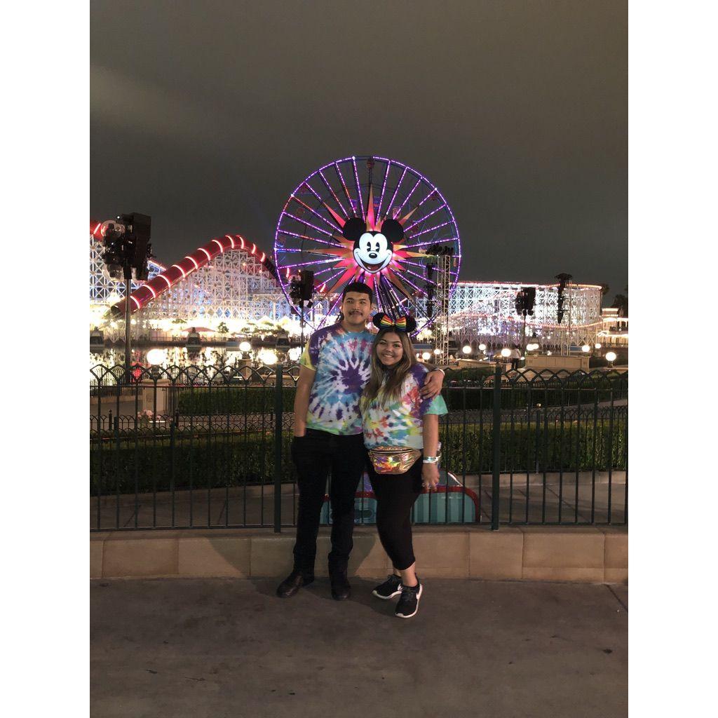Gradnite 2019