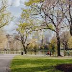 Boston Common