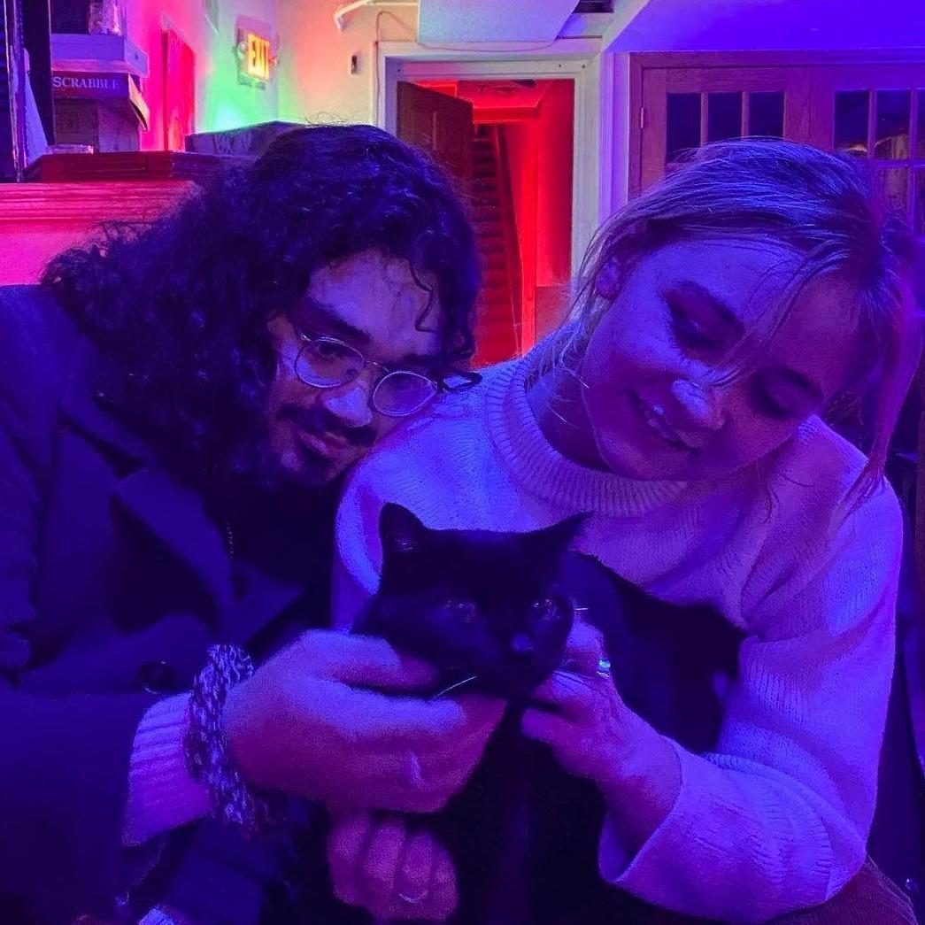 Making a new cat friend (November 2022)