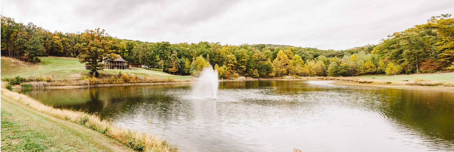 The Wedding Website of Erika Torres and Tyler Graves