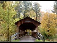 Allegany State Park