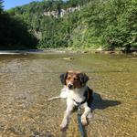 Taughannock Falls State Park