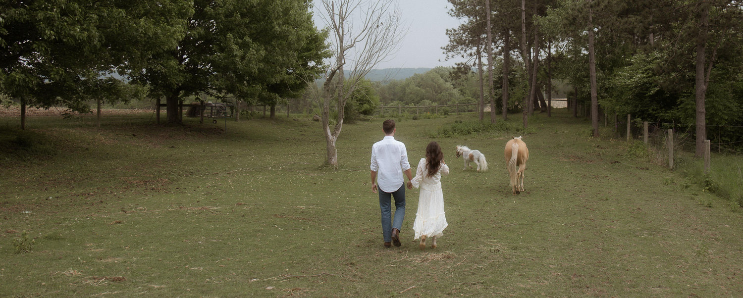 The Wedding Website of William Fitzjohn and Sadie Galer