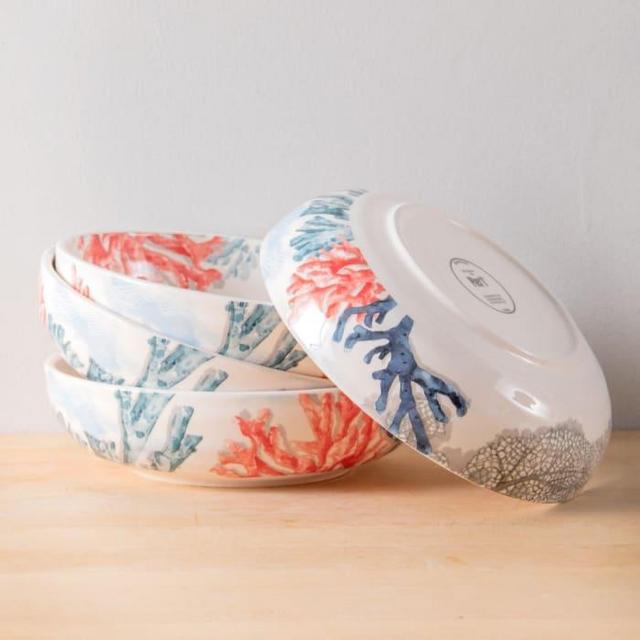Pier 1 Sea Adventure Dinner Bowls, Set of 4
