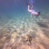 Frederiksted Pier