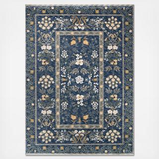 Kismet Area Rug