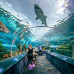 Ripley's Aquarium of Canada