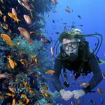 Bautismo de buceo
