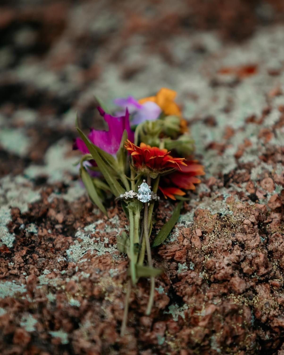 The Wedding Website of Alexia Kidder and Dylan Armstrong
