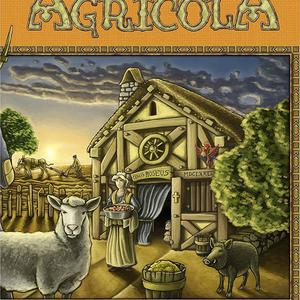 10 - 15 years - Agricola Game