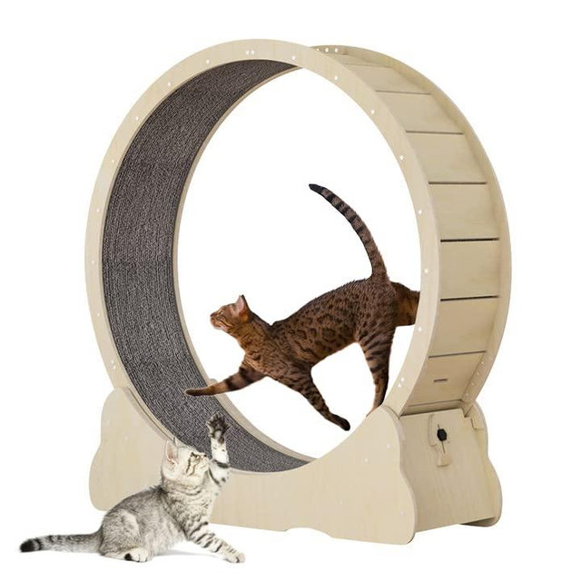 Homegroove Cat Exercise Wheel for Indoor Cats, Cat Running Wheel with Carpeted Runway, Cat Sport Treadmill Wheel for Kitty’s Longer Life, Fitness Weight Loss Device, 39.3" H Natural Wood Color(M)