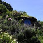 Hobbitenango and Cerro De La Cruz Half Day Tour