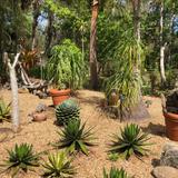 Florida Botanical Gardens