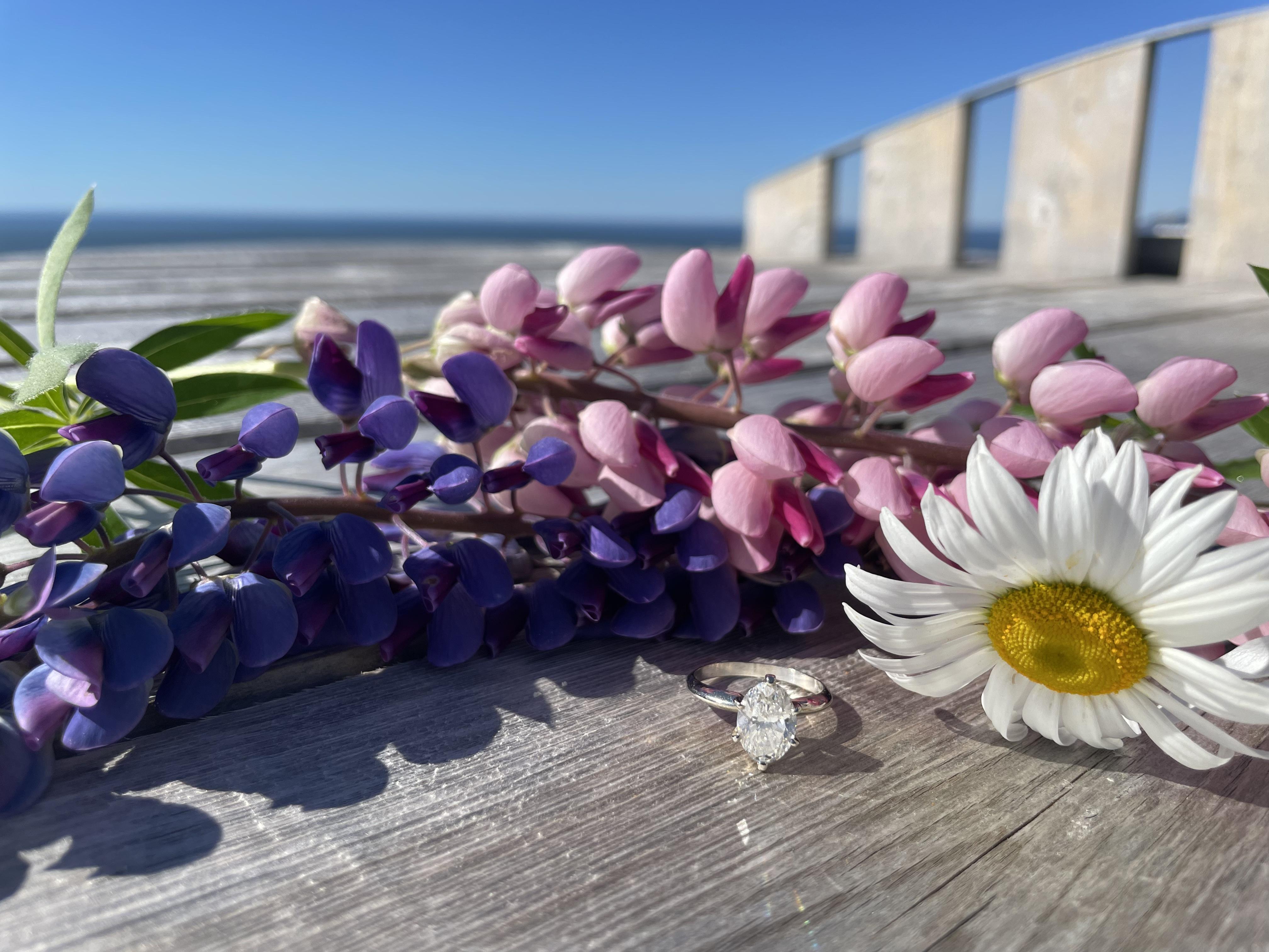 The Wedding Website of Brennan Foley and Lillian Wyand