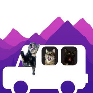 Trips