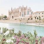 Palma