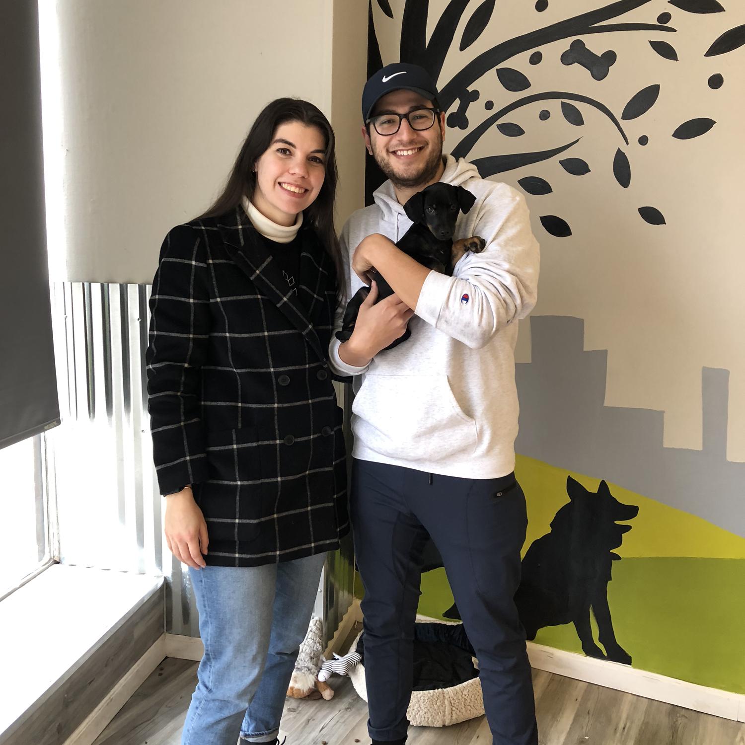 Dexter's Gotcha Day! The day we became dog parents