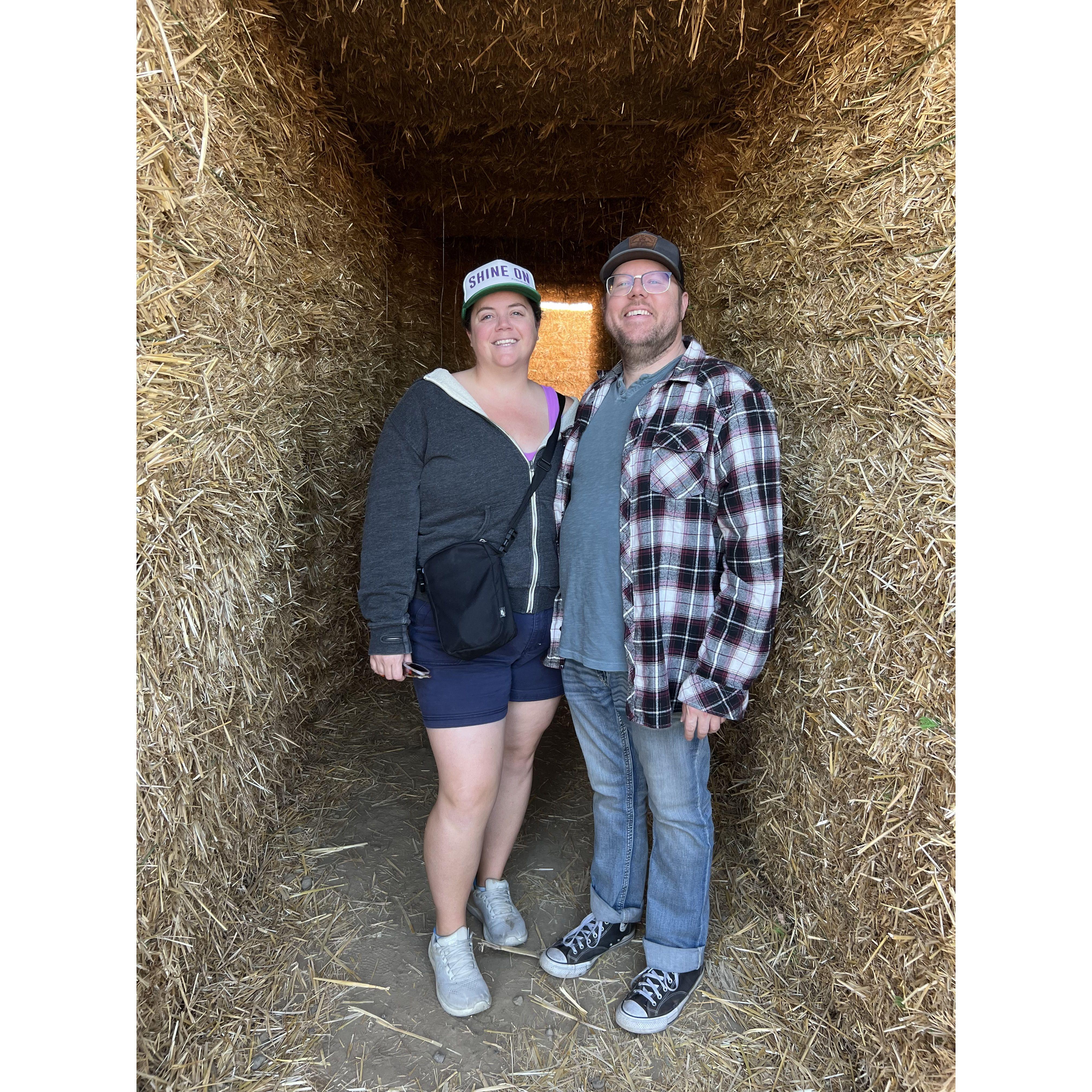 Hay Maze